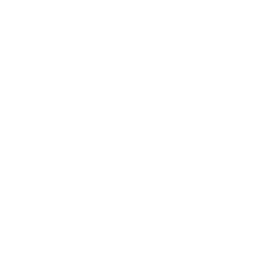 Drunk Elephant Logo